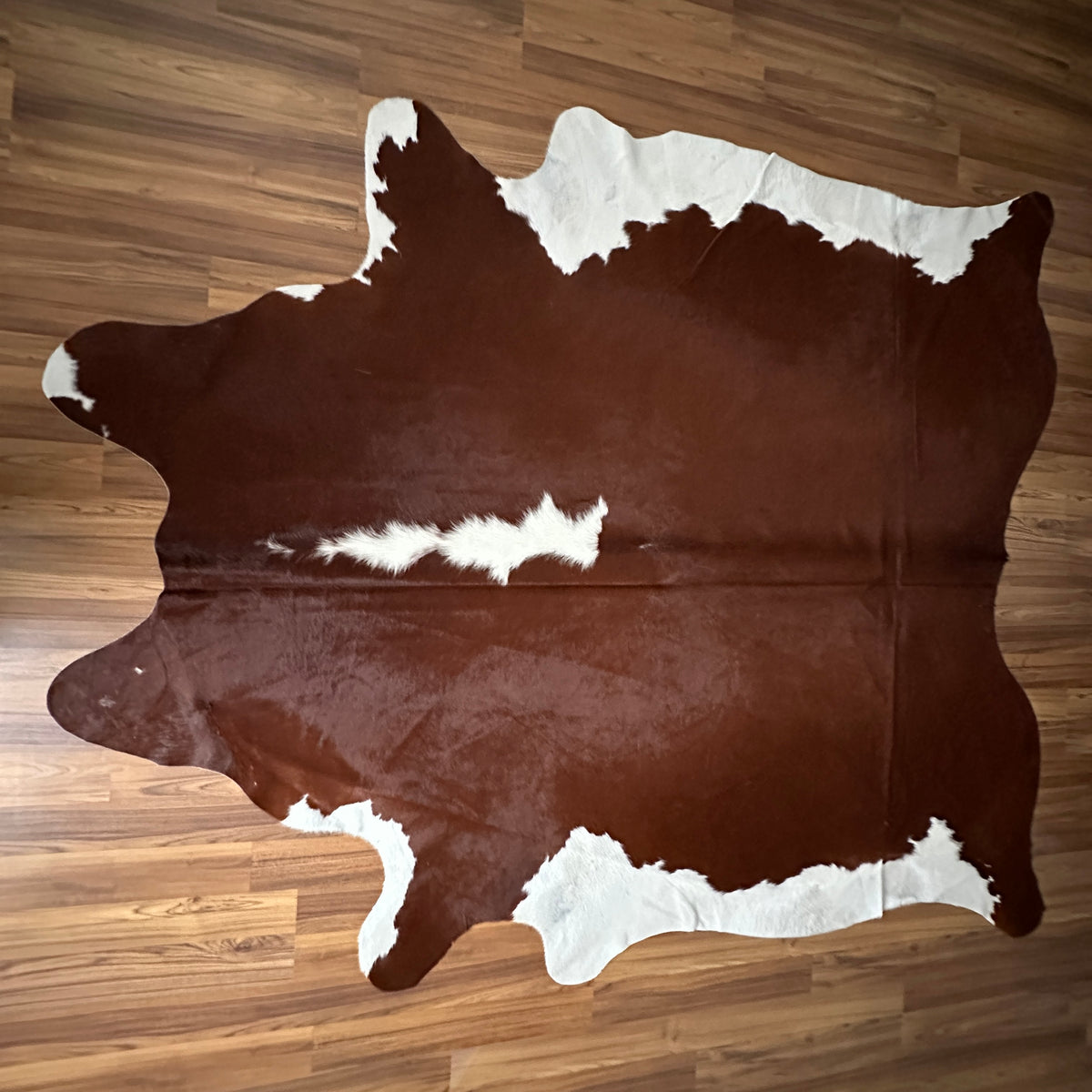 Brown and White cowhide rug, full overhead view