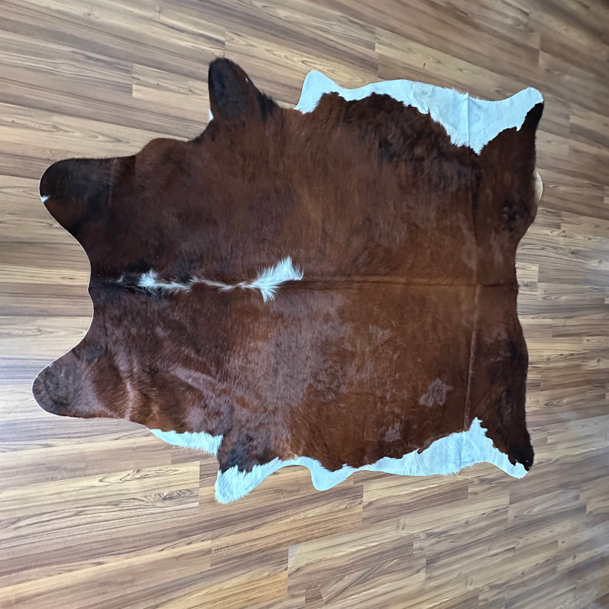 Brown and White cowhide rug, full overhead view — Large irregular dark brown patches with white accents on natural tan base