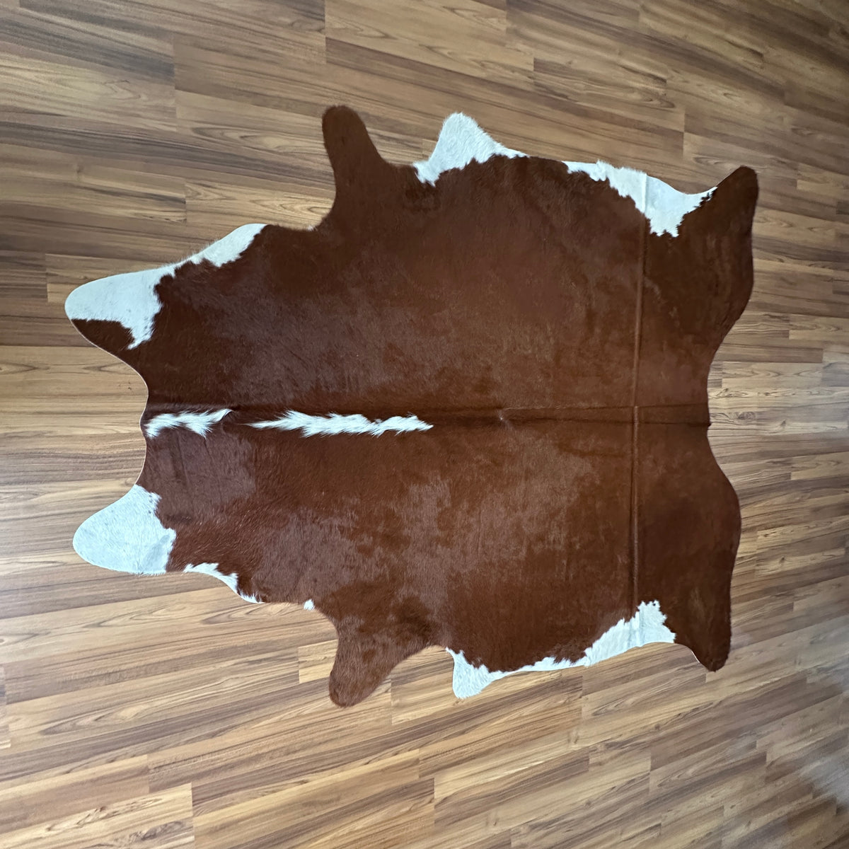 Brown and White cowhide rug, full overhead view — Large irregular chocolate brown patches with white markings across natural 