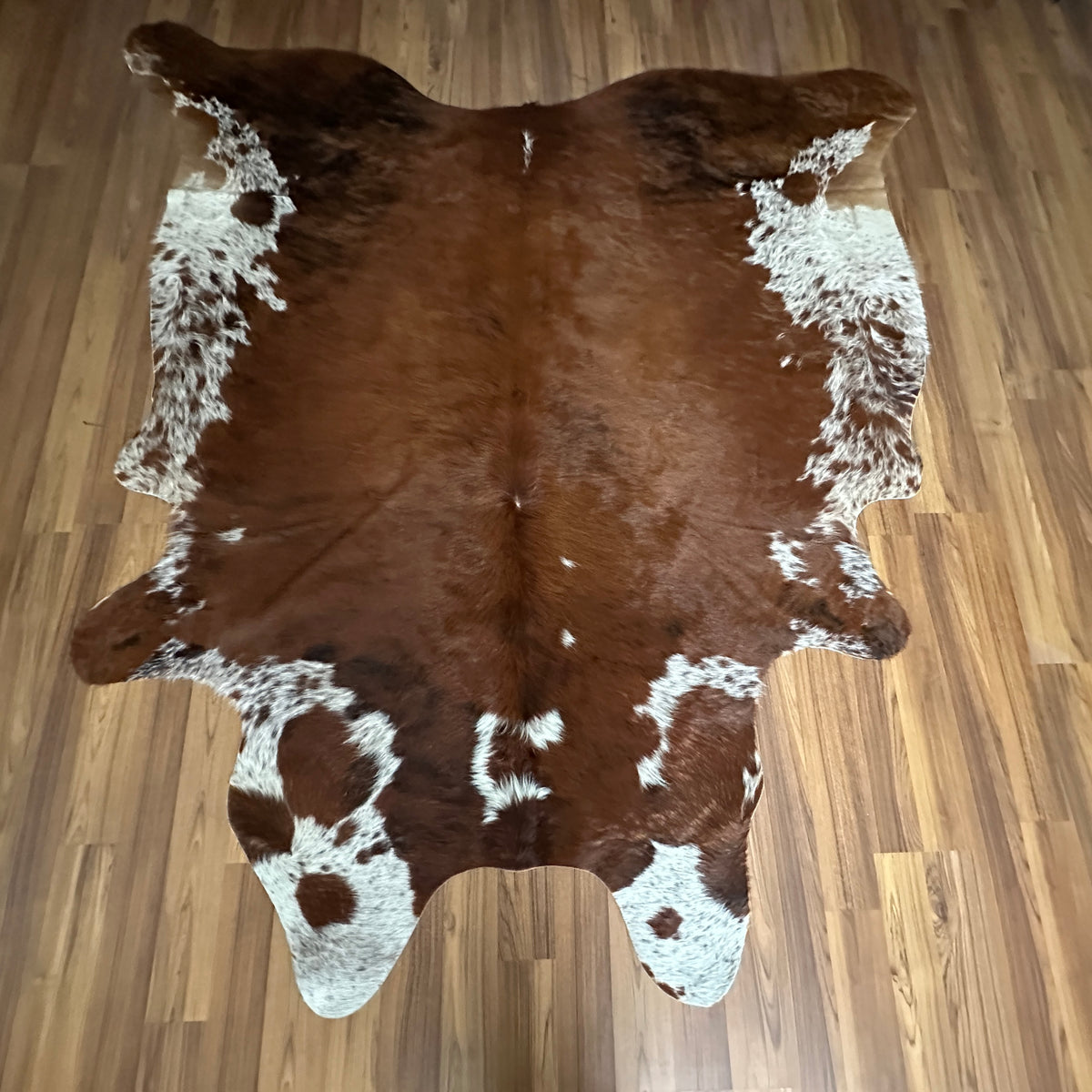 Brown and White cowhide rug, full overhead view
