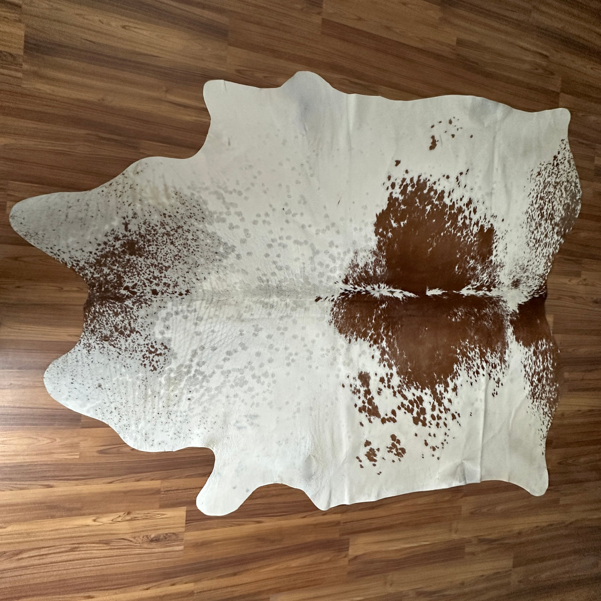 Brown and White cowhide rug, full overhead view — Large irregular chocolate brown patches over cream and white base