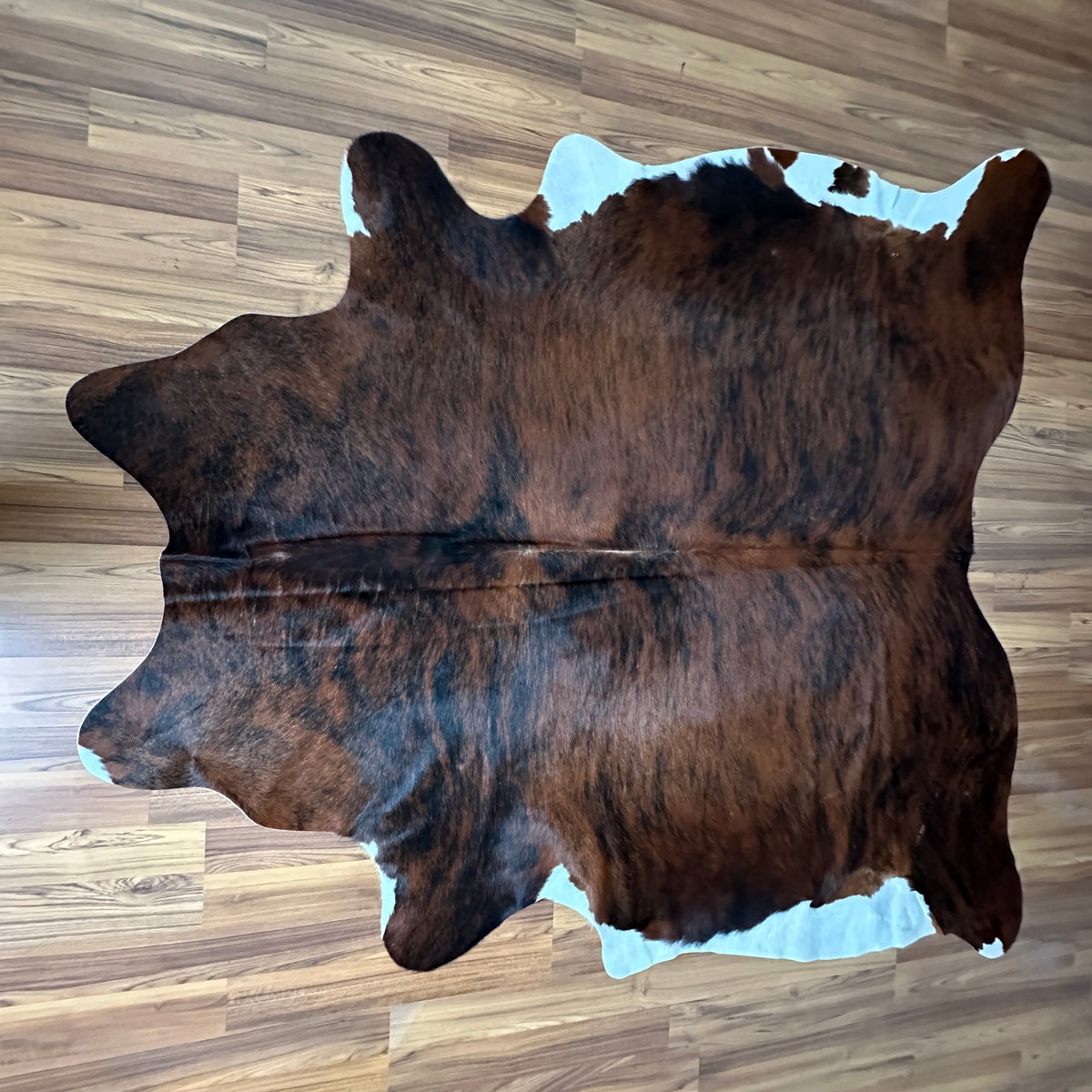 Brown and White cowhide rug, full overhead view
