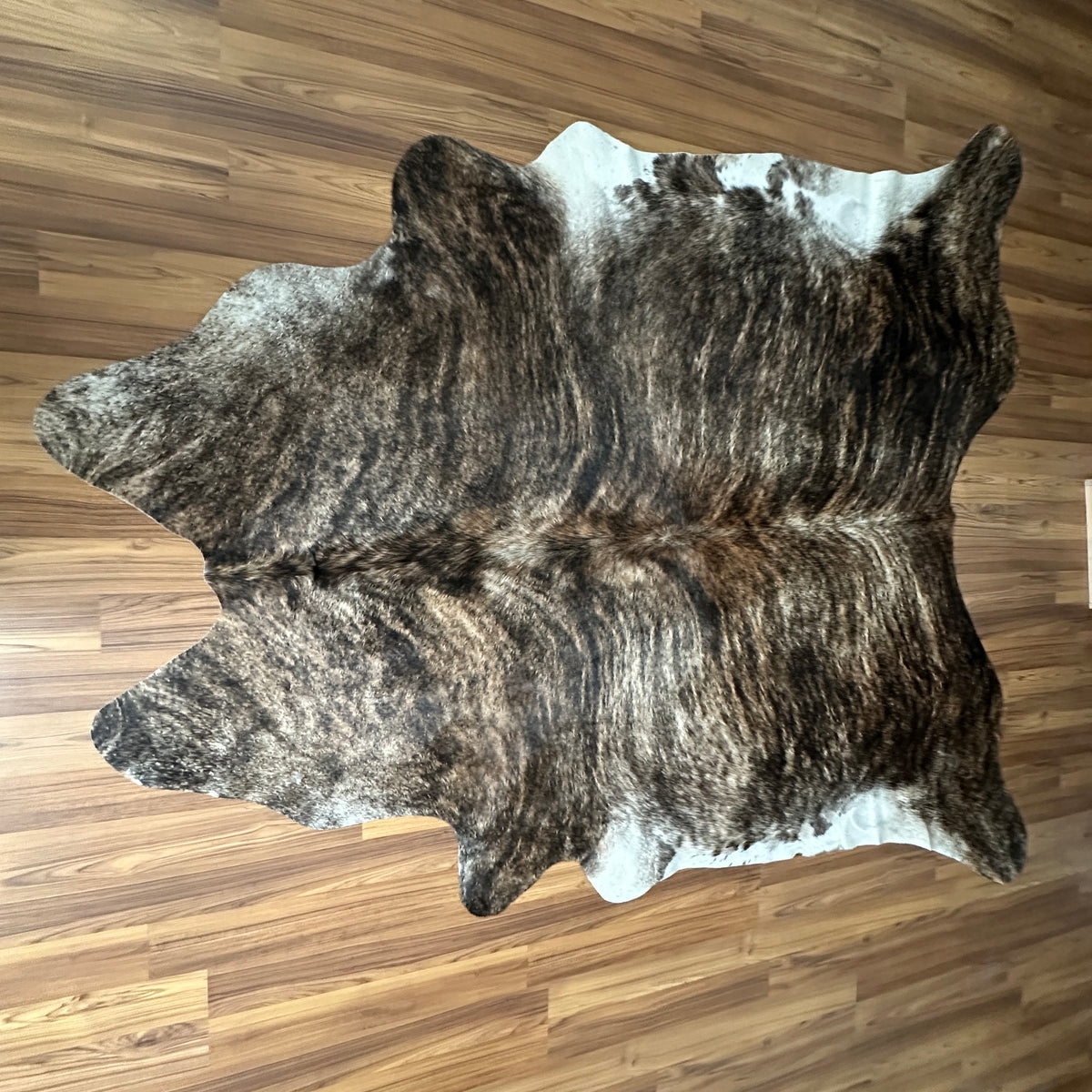 Brown and White cowhide rug, full overhead view — Large irregular dark brown patches with white markings over grey-brown base