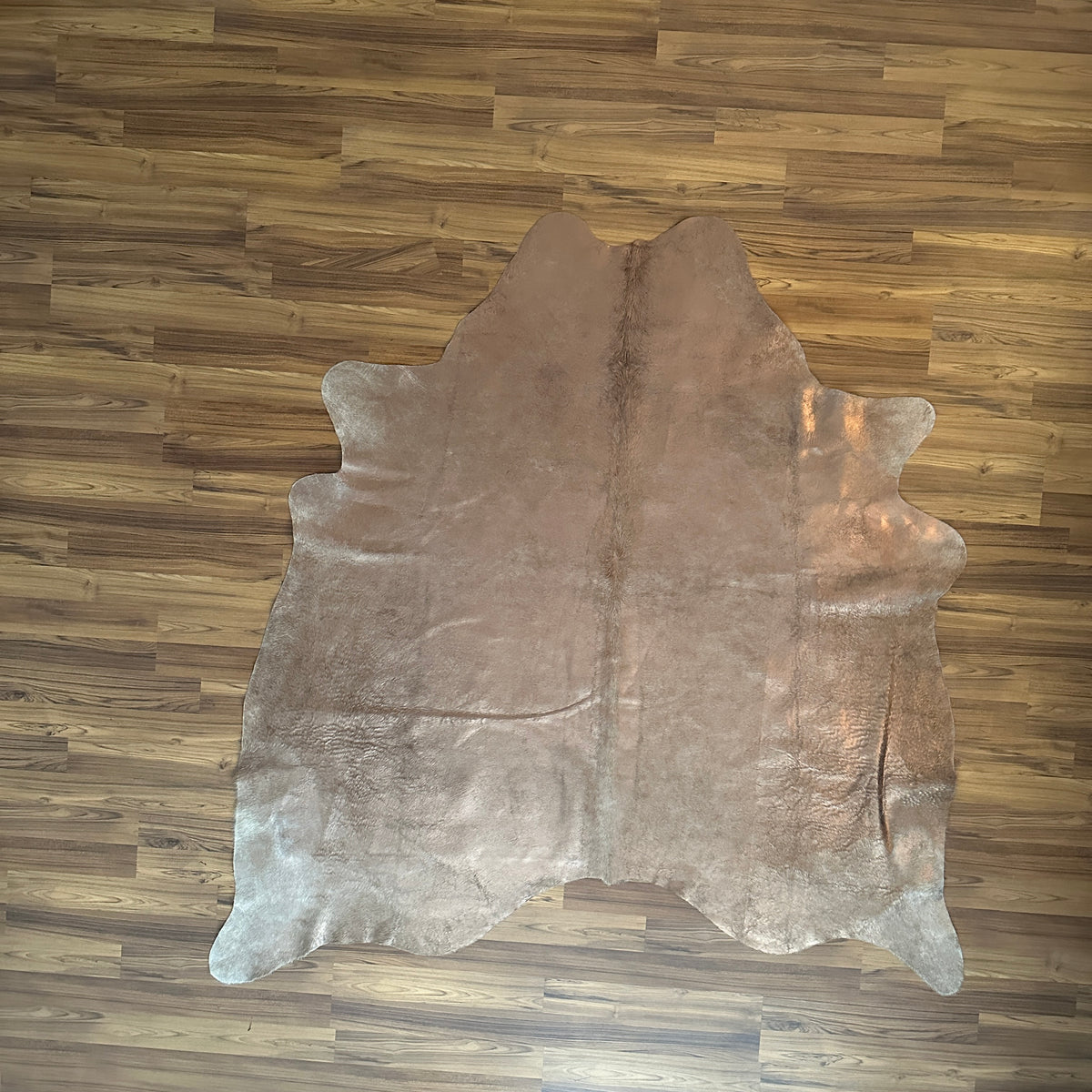Brown and White cowhide rug, full overhead view — Large irregular dark brown patches over light tan and cream base