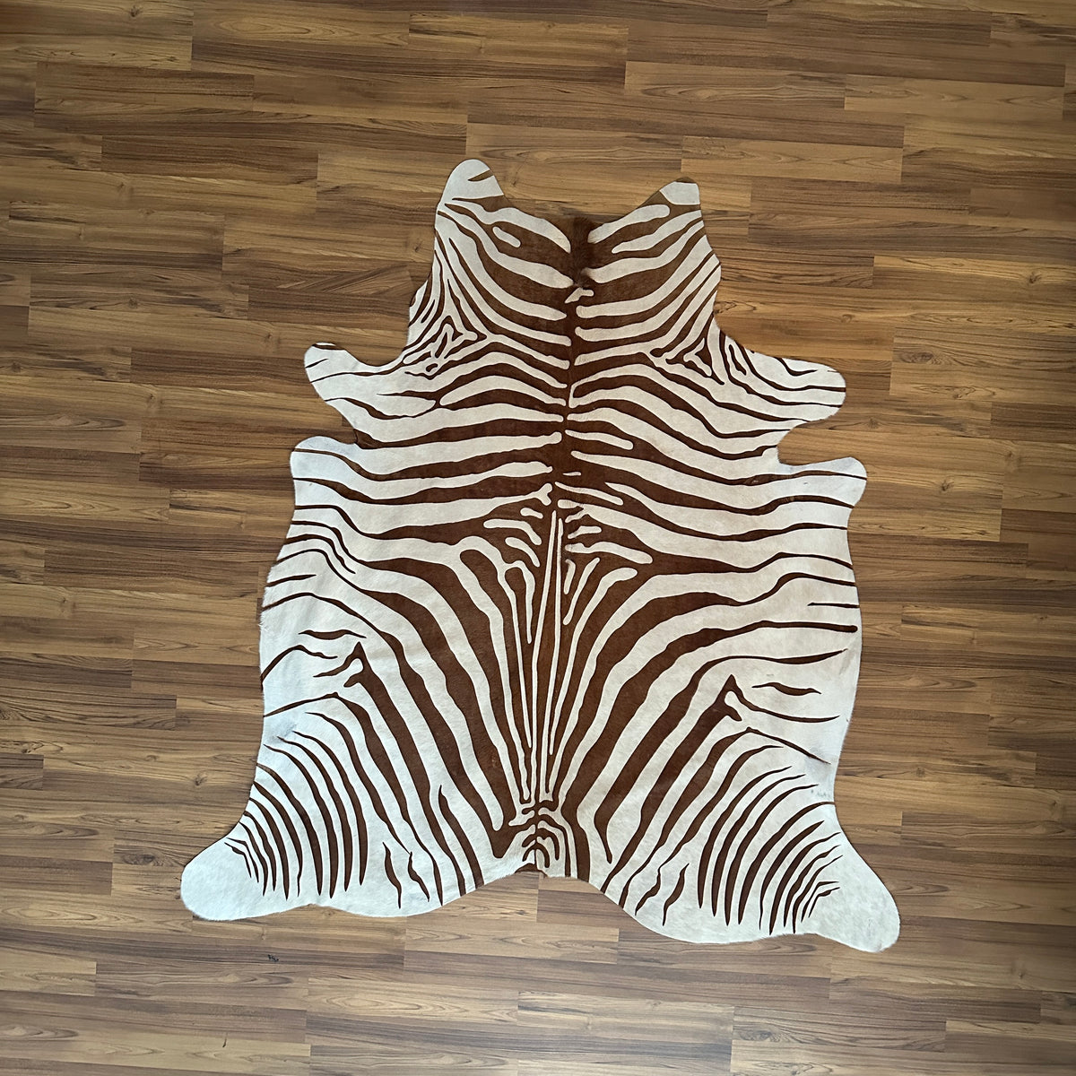 Brown and White zebra print cowhide rug, full overhead view — Bold brown stripes radiating from center spine over cream base,
