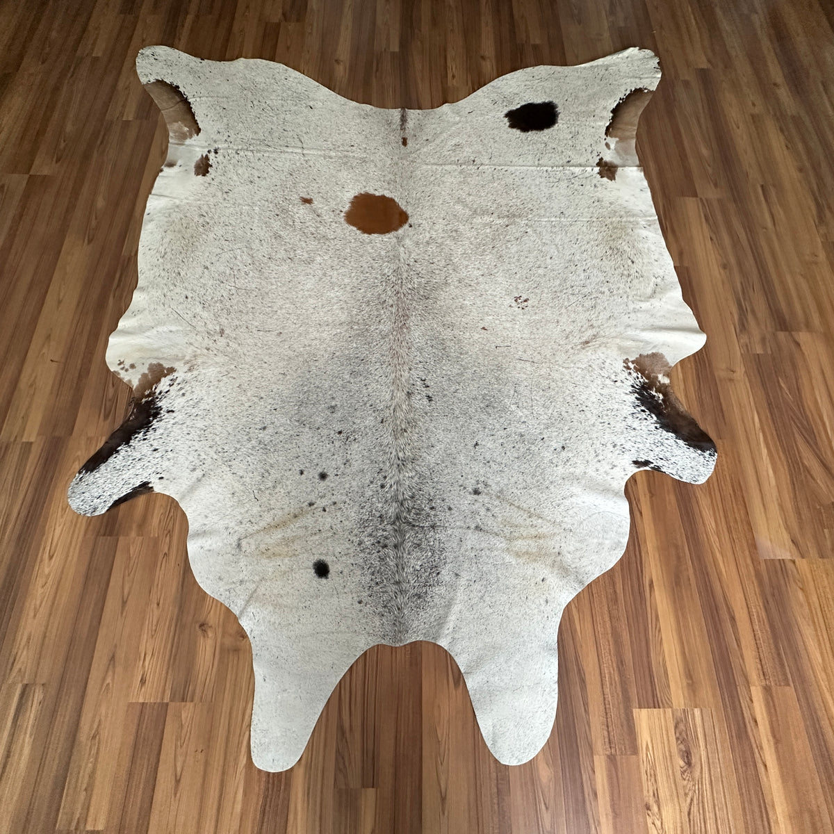 Brown and White cowhide rug, full overhead view — Large irregular chocolate brown patches and smaller dark spots over cream b