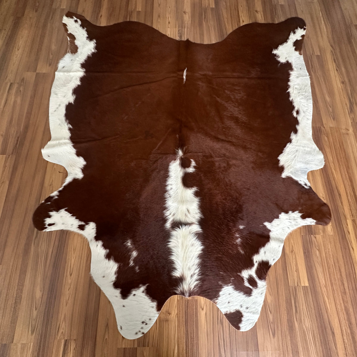 Brown and White cowhide rug, full overhead view — Large irregular dark brown patches with white markings, vertical white stri