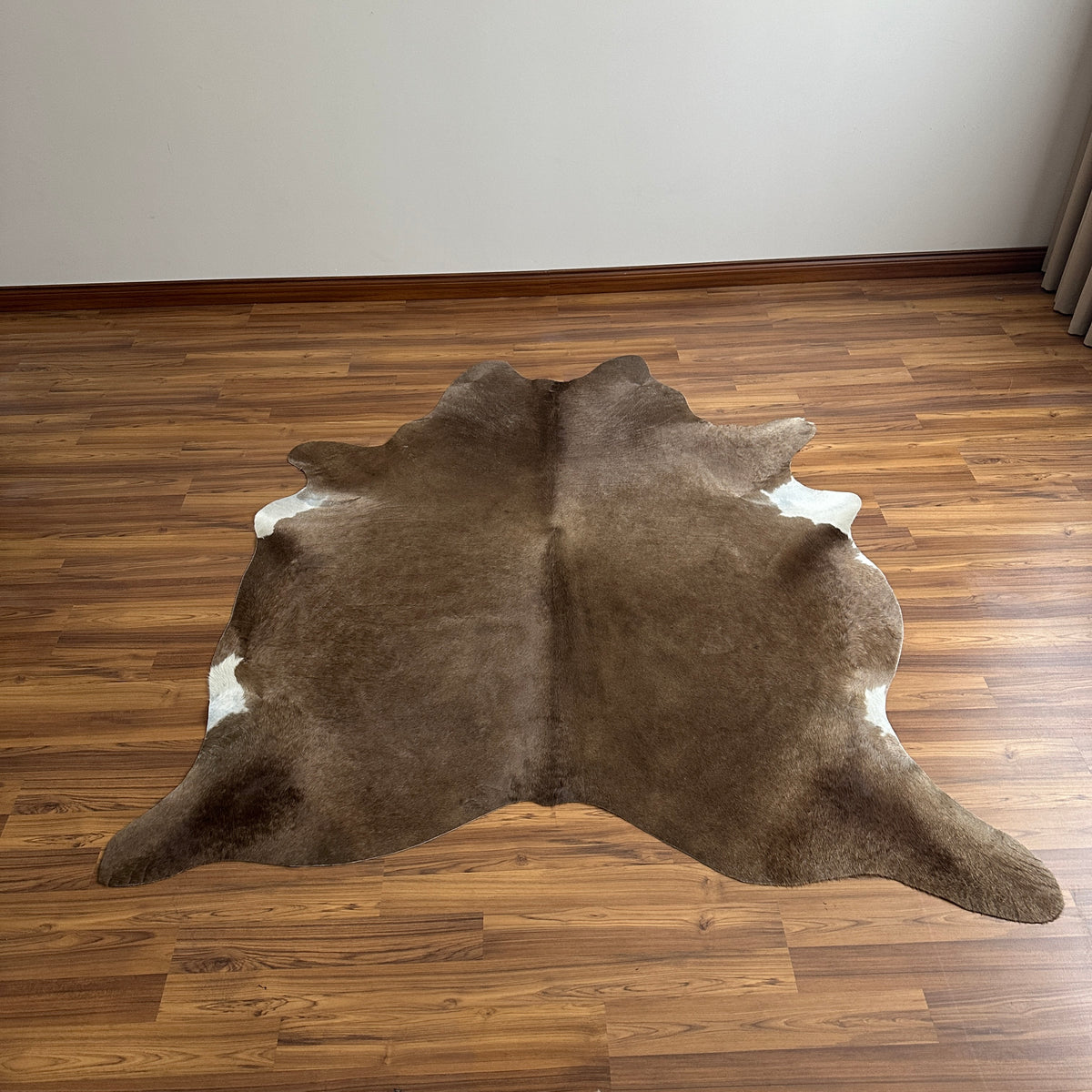 Brown and White cowhide rug, full overhead view — Large irregular chocolate brown patches over cream and white base