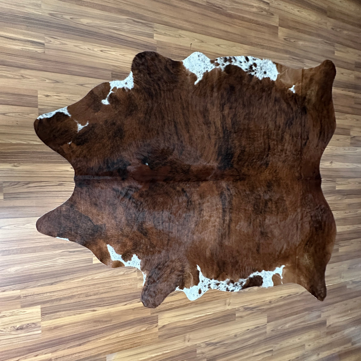 Brown and White cowhide rug, full overhead view — Large irregular chocolate brown patches with white accents over natural tan