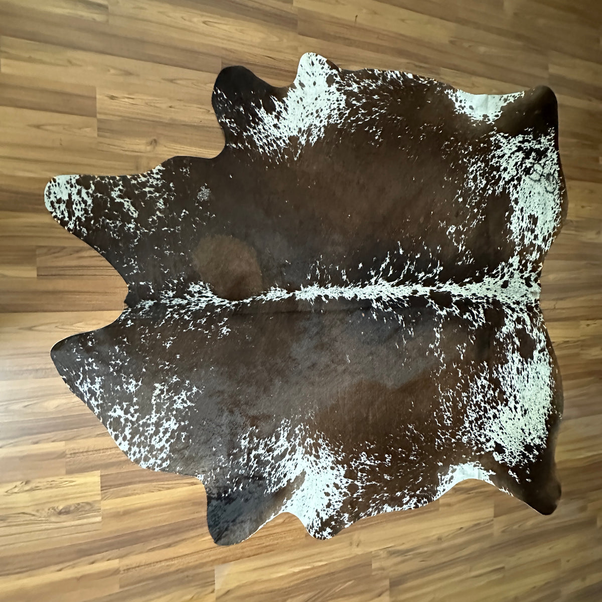 Brown and White cowhide rug, full overhead view — Large irregular chocolate brown patches with cream and white accents over d