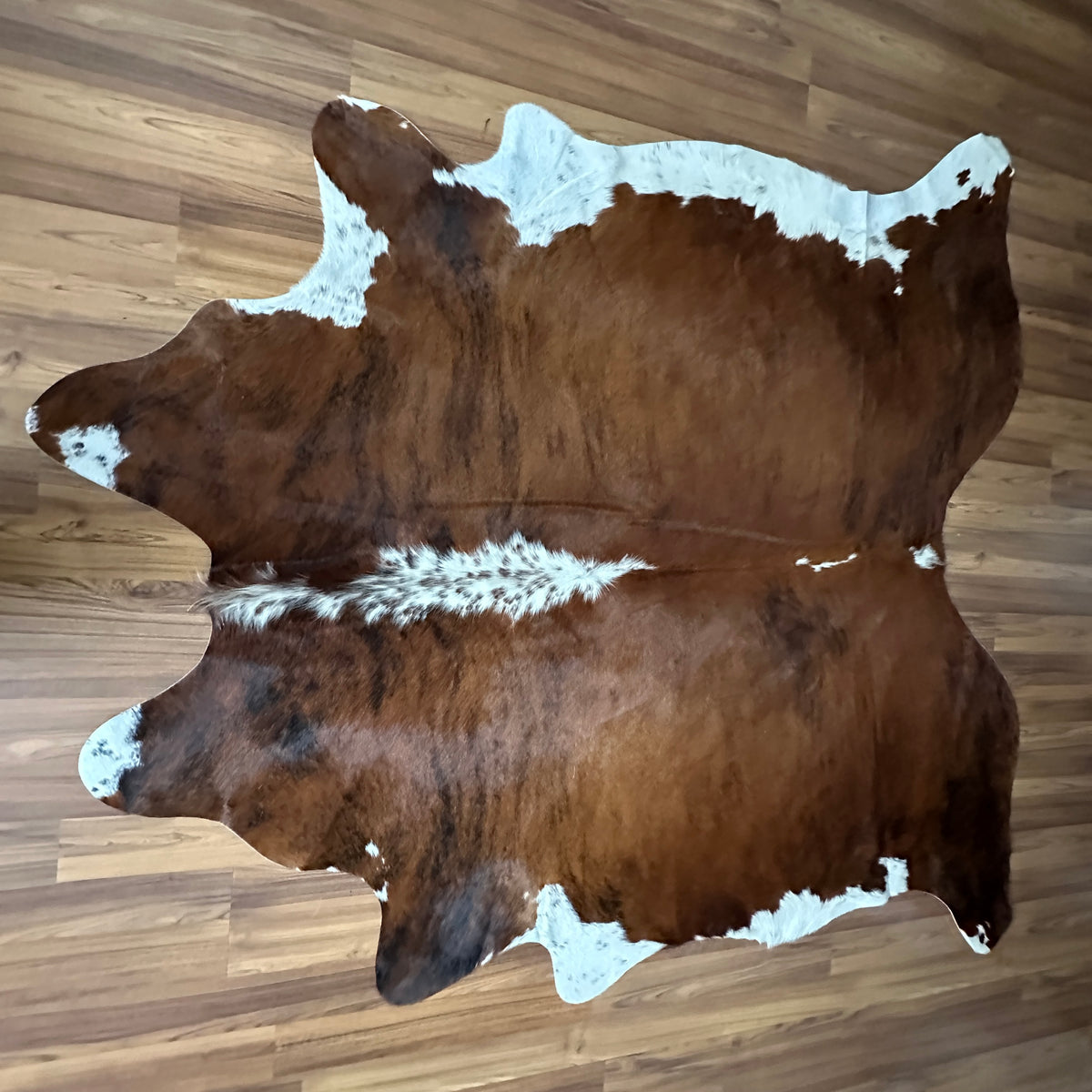 Brown and White cowhide rug, full overhead view