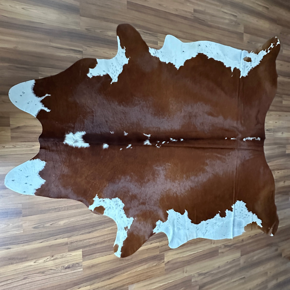 Brown and White cowhide rug, full overhead view — Large irregular chocolate brown patches with white markings across natural 