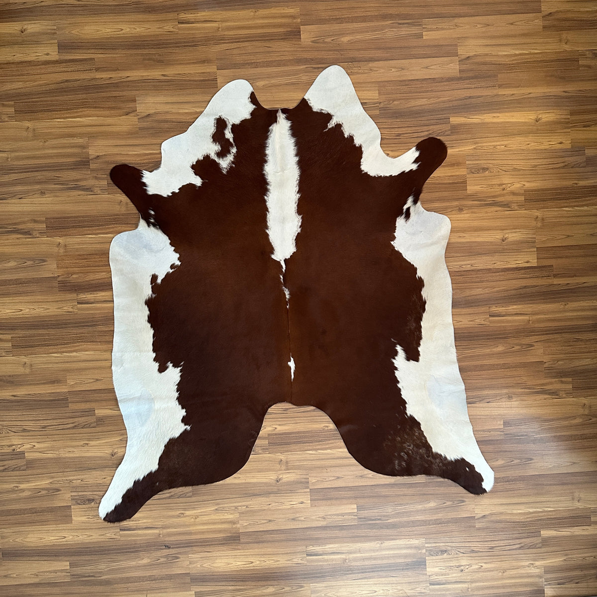 Brown and White cowhide rug, full overhead view — Large irregular dark brown patches with cream and white base throughout