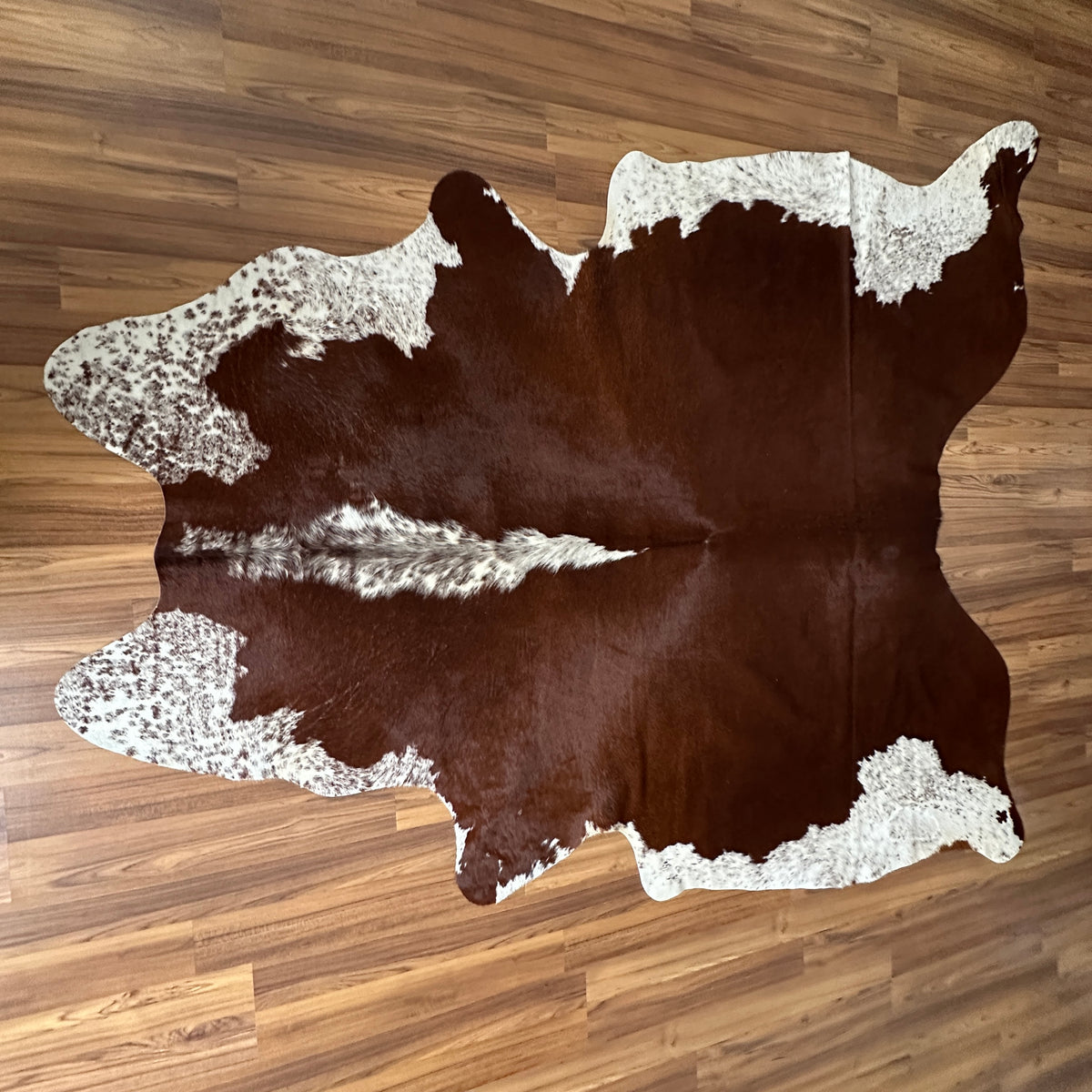 Brown and White cowhide rug, full overhead view — Large irregular dark chocolate-brown patches with fine salt-and-pepper spec