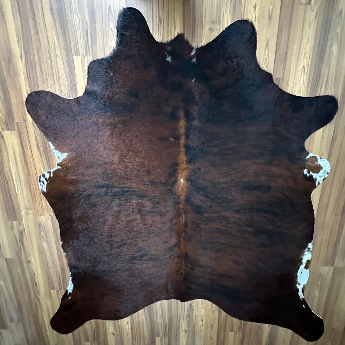 Brown and White cowhide rug, full overhead view — Large irregular dark brown patches with white spots and markings over a bro
