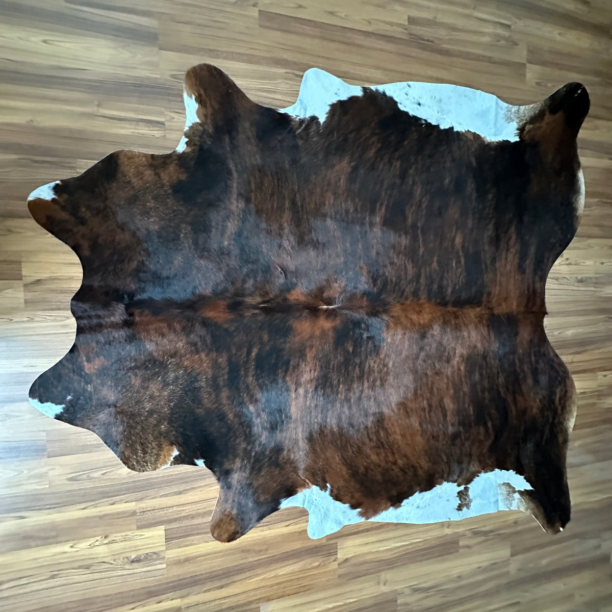 Brown and White cowhide rug, full overhead view — Large irregular dark brown patches with white accents over a medium brown b