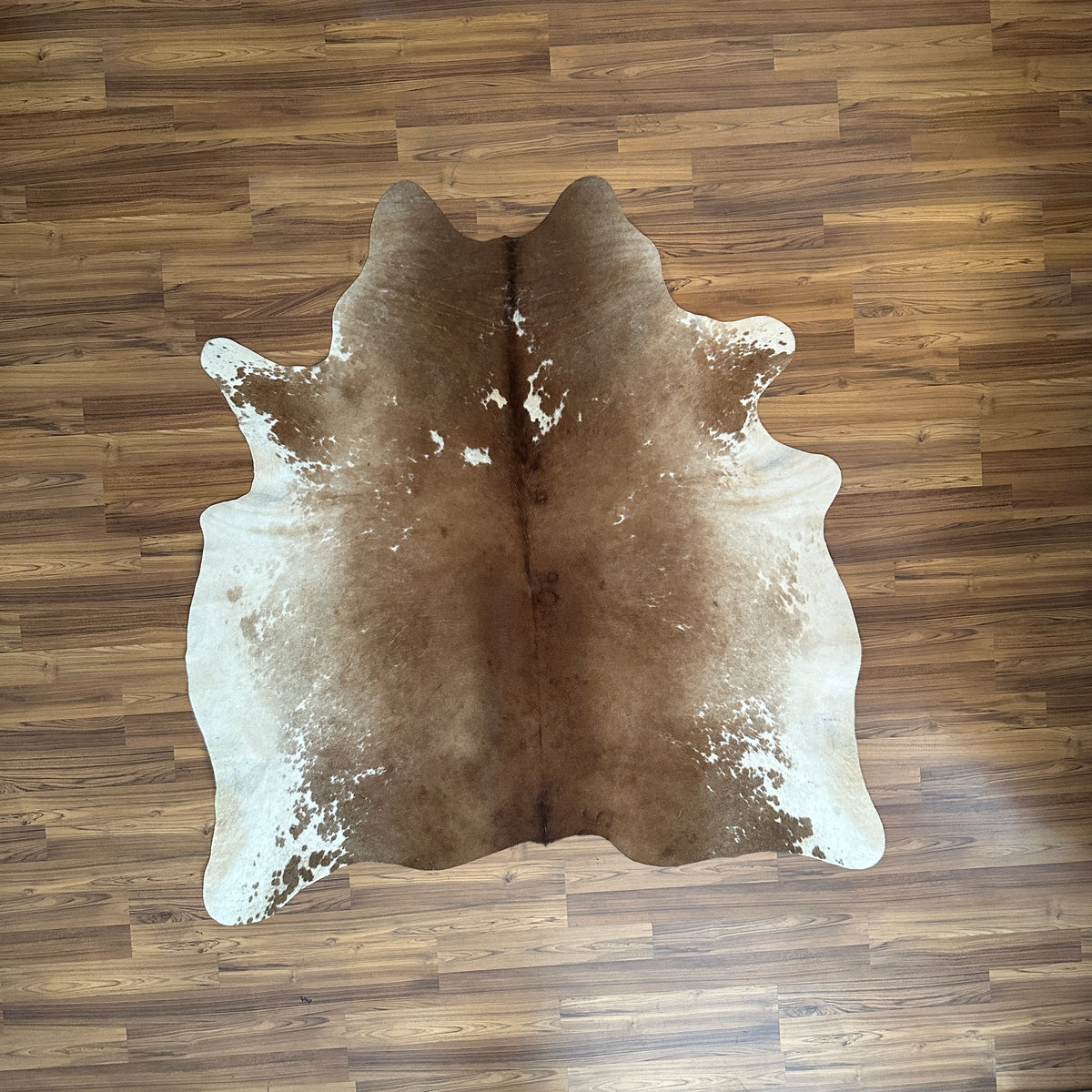 Brown and White cowhide rug, full overhead view — Large irregular chocolate brown patches over cream and white base with natu