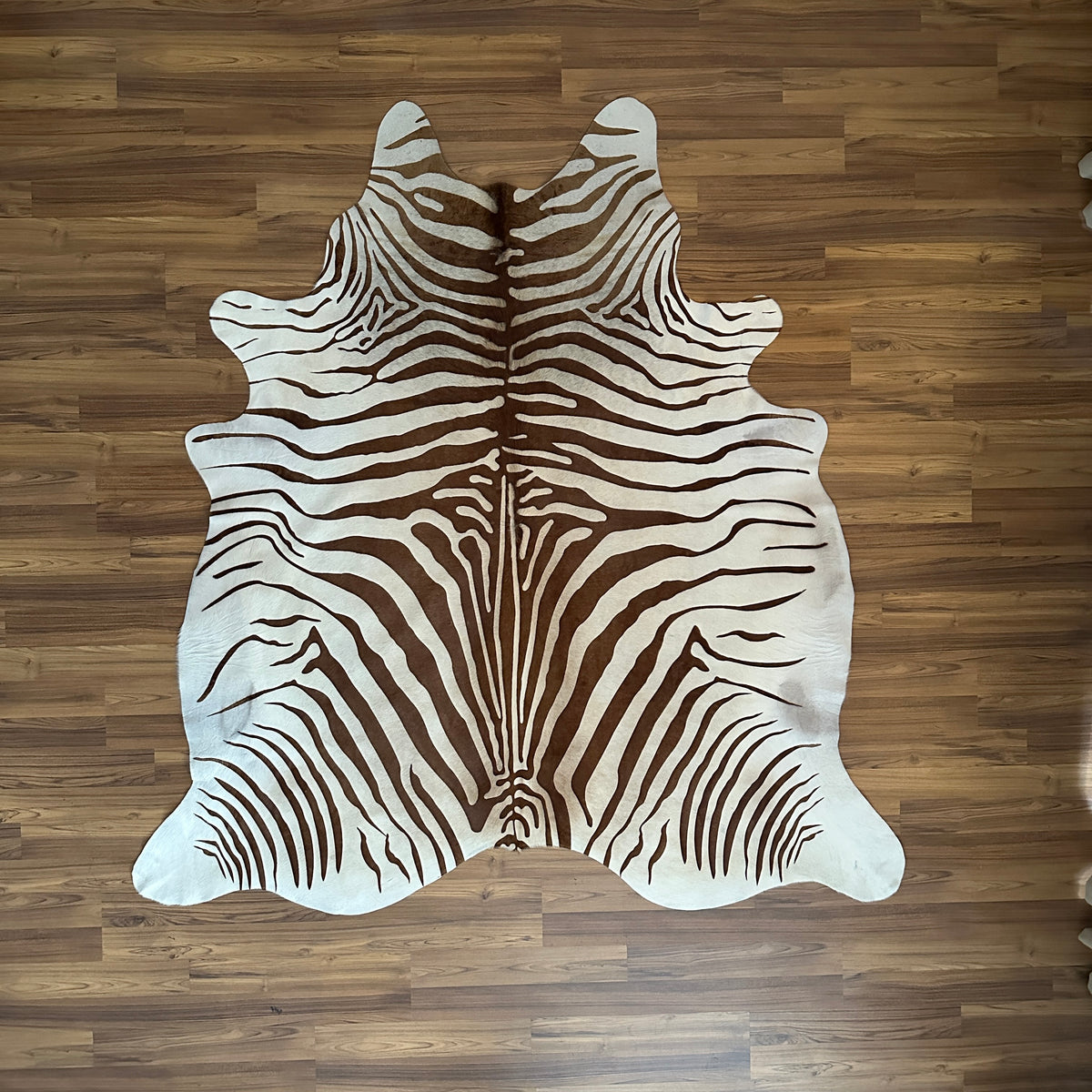 Brown and White zebra print cowhide rug, full overhead view — Bold dark brown stripes radiating from center in zebra-like pat