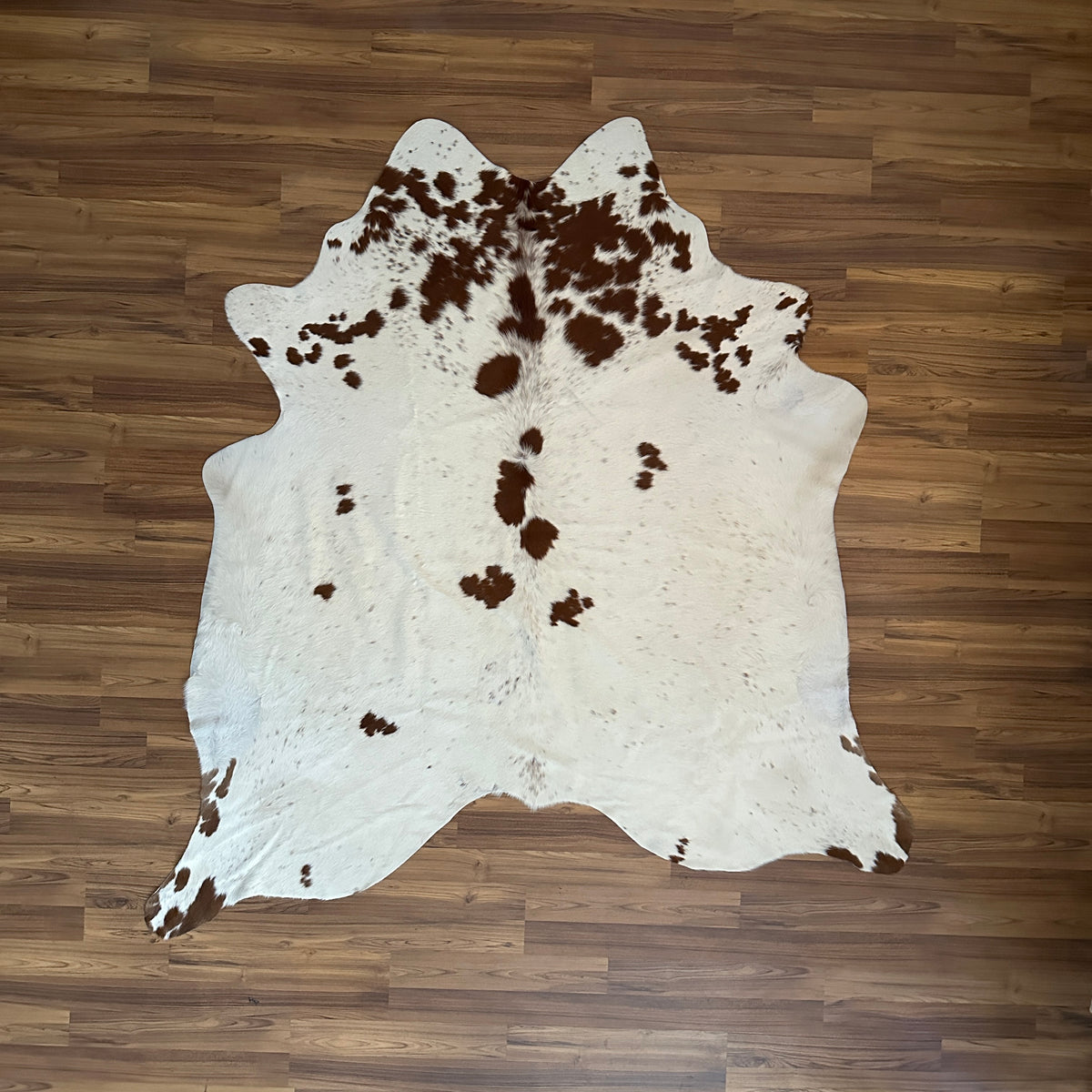 Brown and White cowhide rug, full overhead view — Large irregular chocolate-brown patches and speckles scattered across a cre