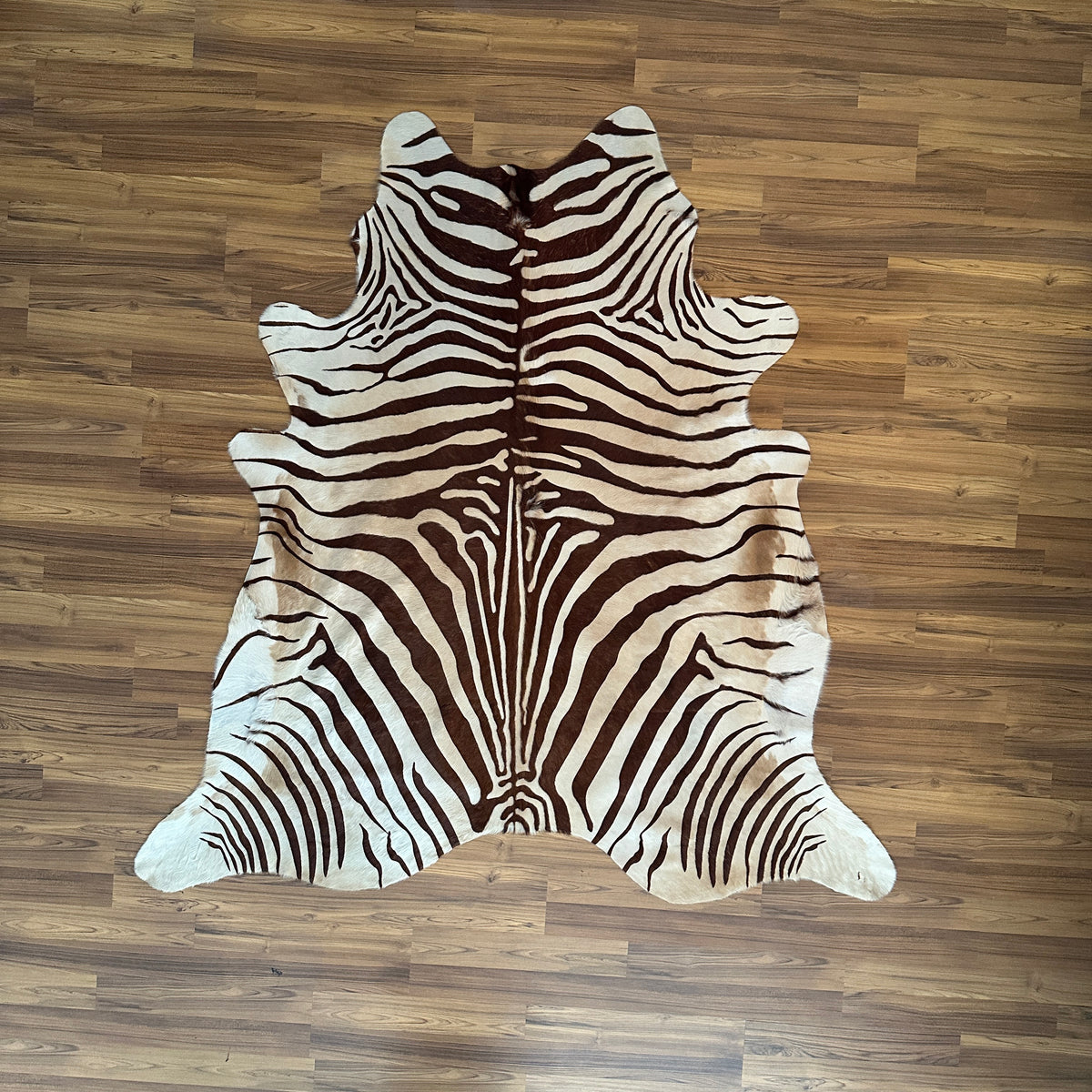 Brown and White zebra print cowhide rug, full overhead view — Bold radiating zebra stripes in dark brown and cream, flowing s