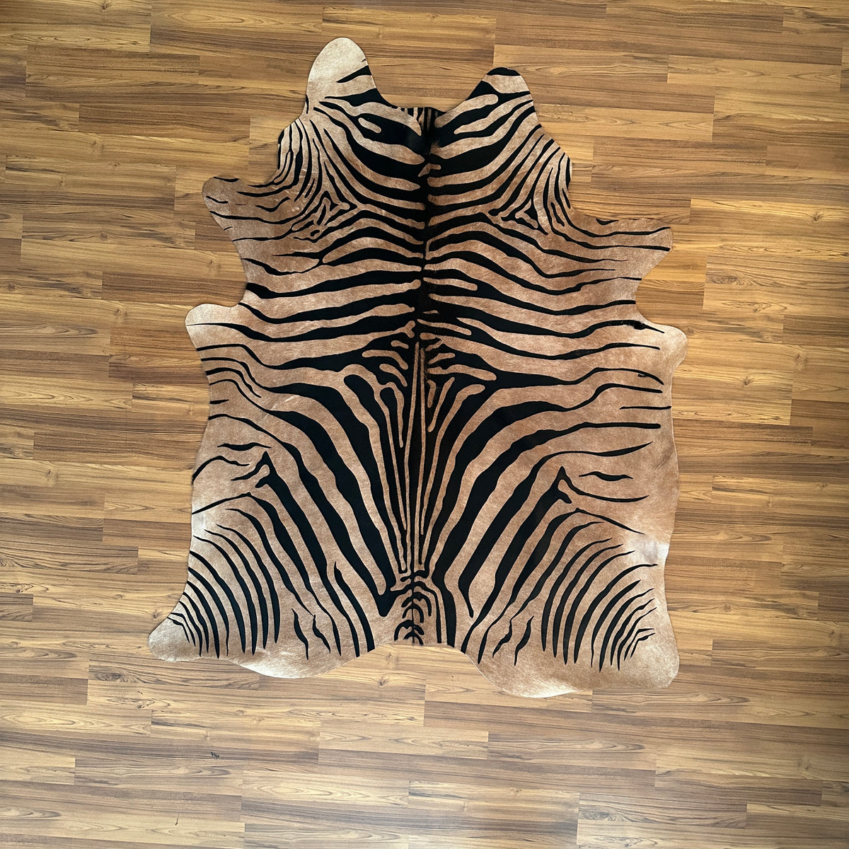 Brown and White zebra print cowhide rug, full overhead view — Bold black stripes radiating from center over cream and light t