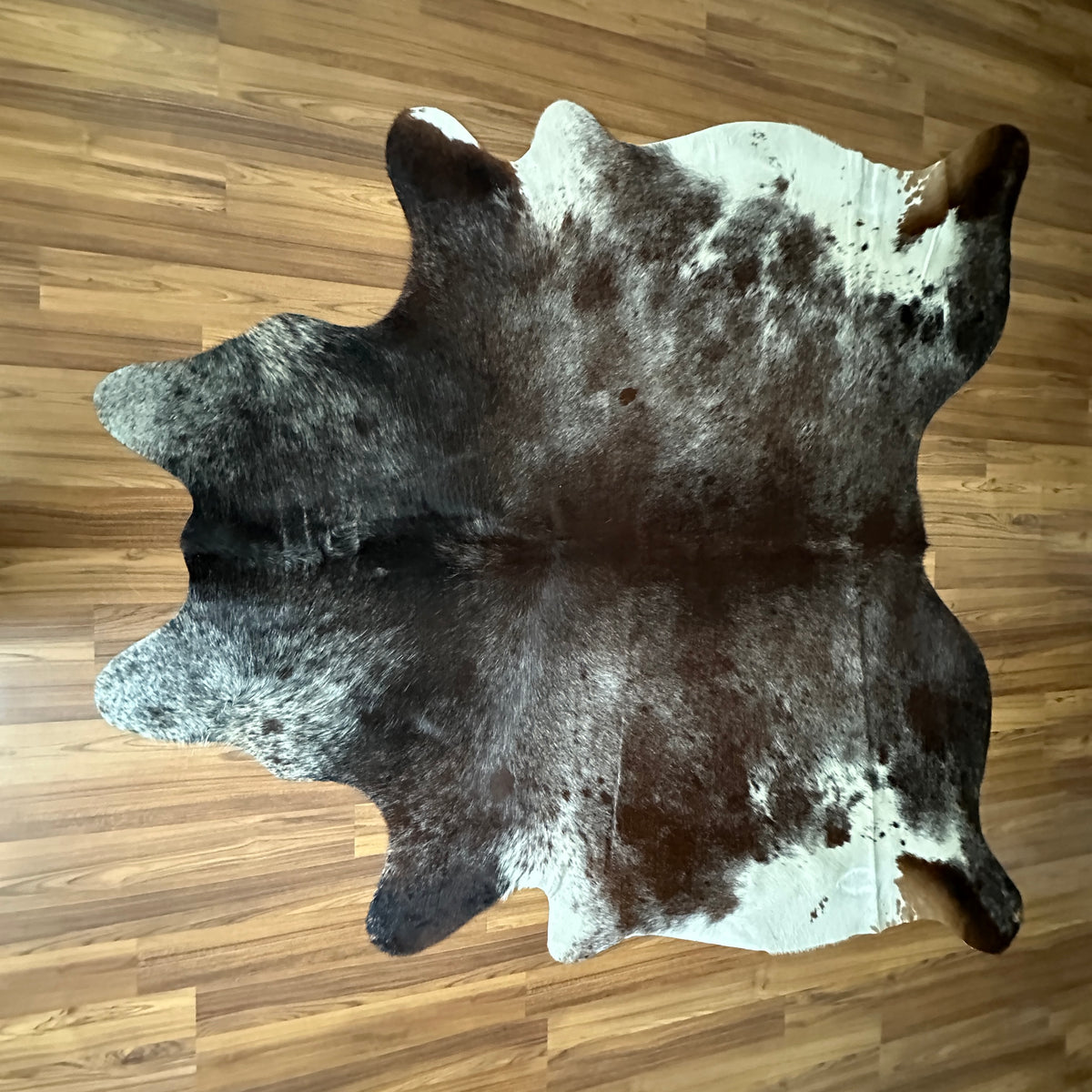 Brown and White cowhide rug, full overhead view — Large irregular dark brown patches over white and cream base with natural s