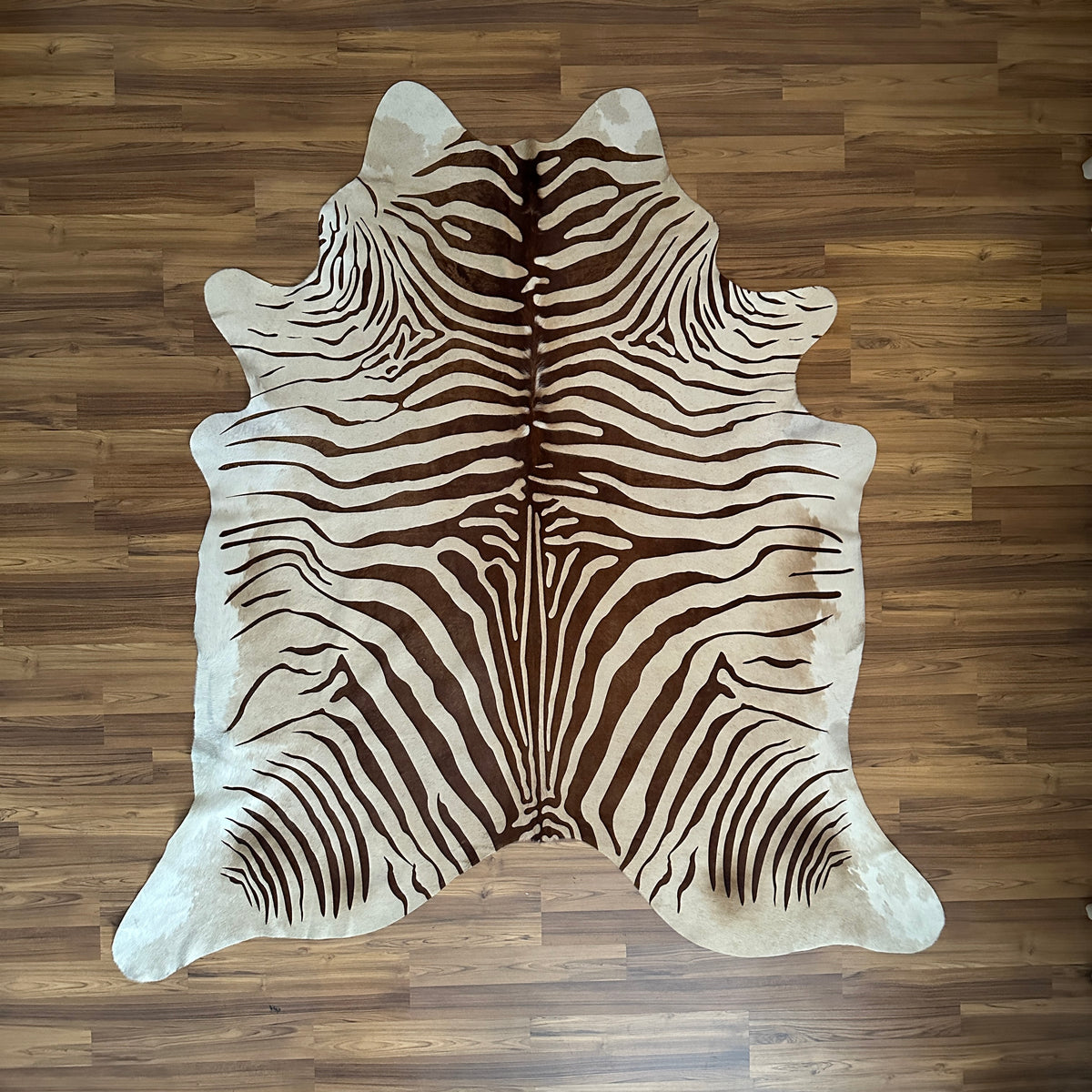 Brown and White zebra print cowhide rug, full overhead view — Bold dark brown stripes radiating downward in zebra-like patter