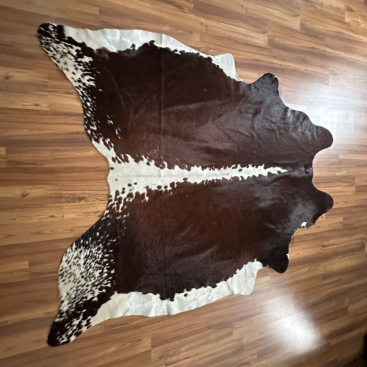 Brown and White cowhide rug, full overhead view