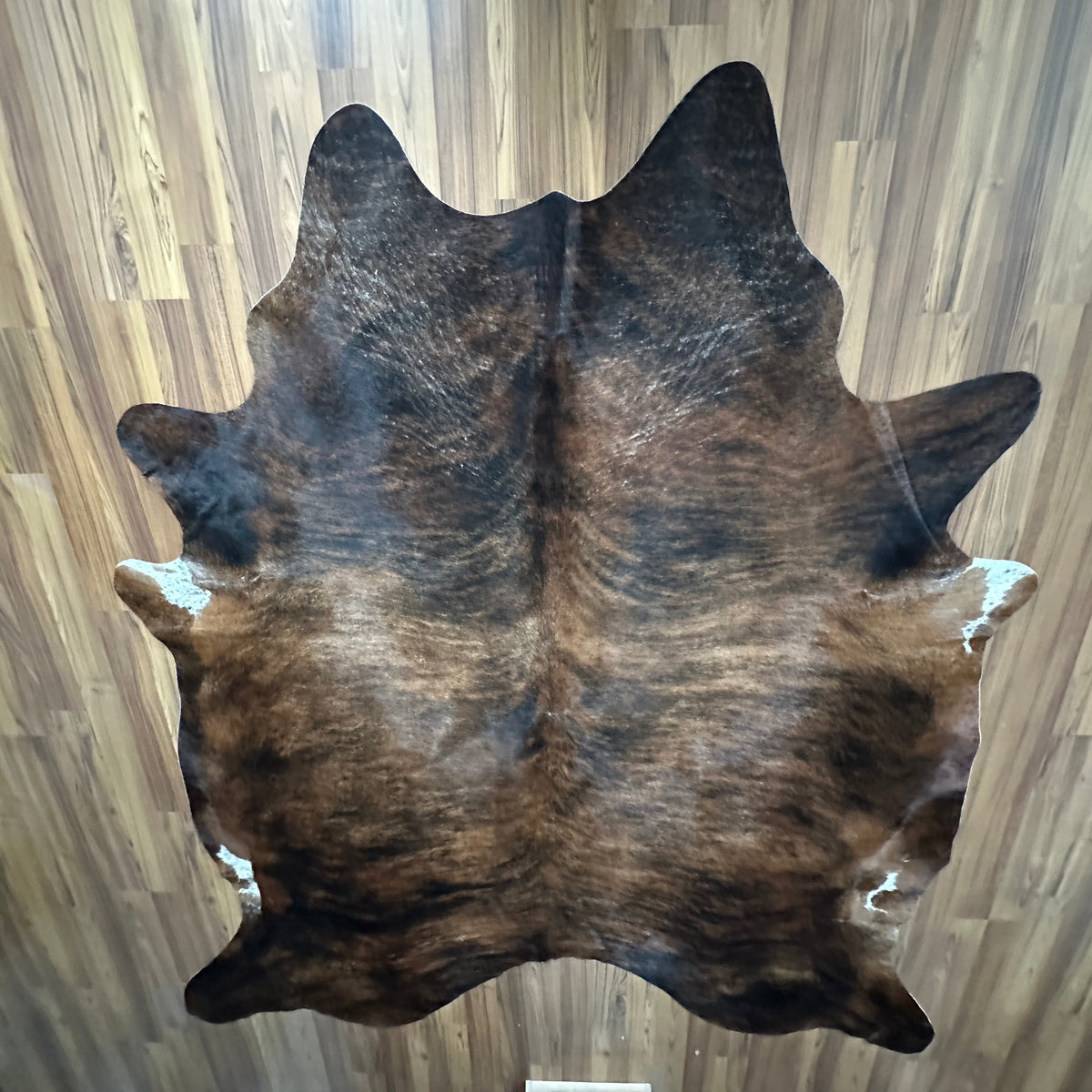 Brown and White cowhide rug, full overhead view