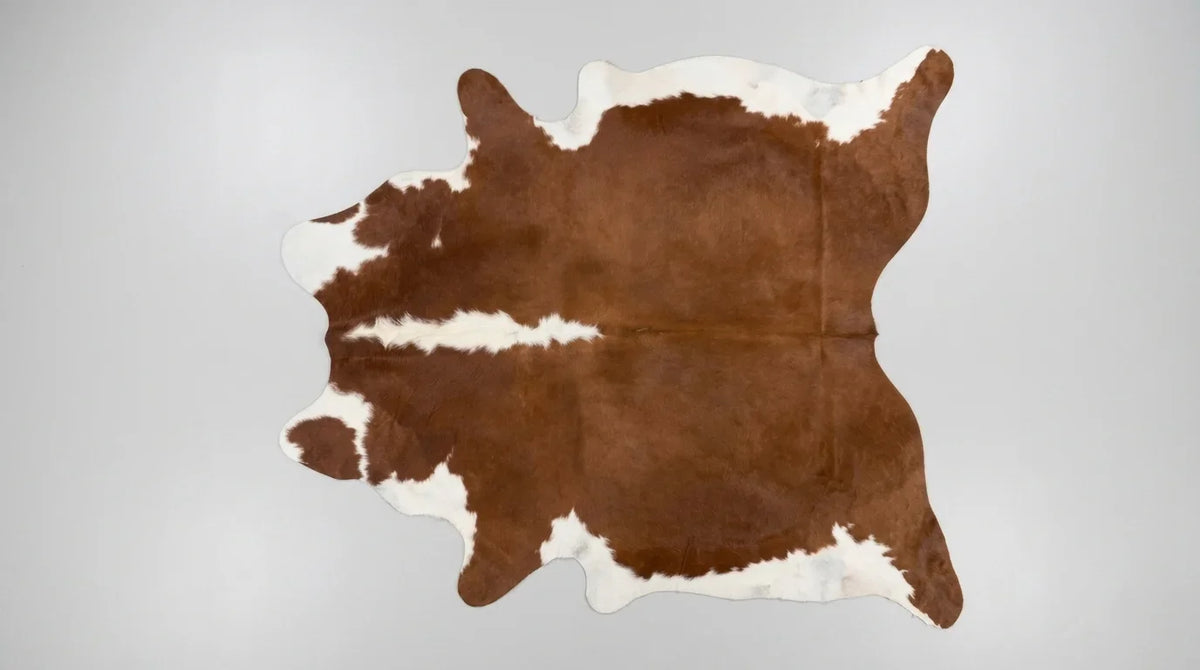 Brown and White cowhide rug flat lay on white background showing full hide shape