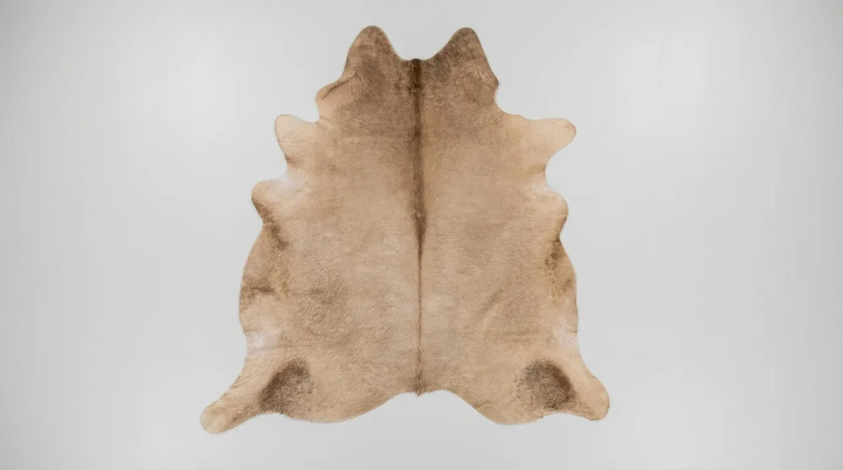 Brown and White cowhide rug flat lay on white background showing full hide shape