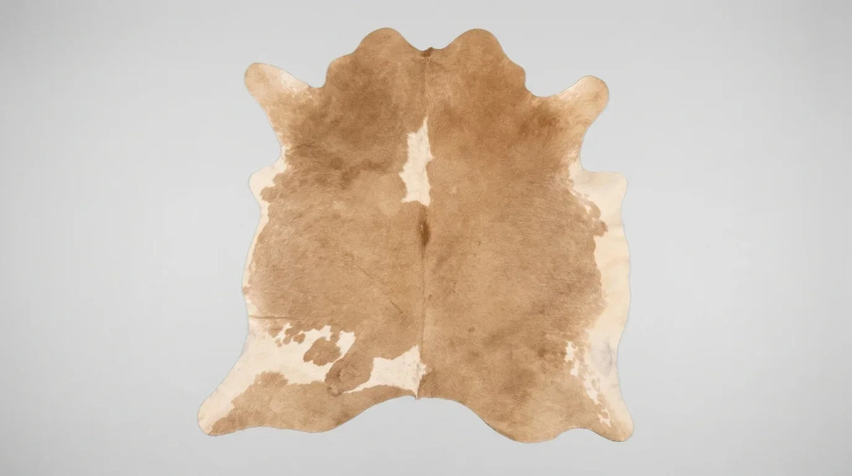 Brown and White cowhide rug flat lay on white background showing full hide shape