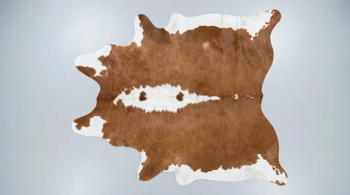 Brown and White cowhide rug flat lay on white background showing full hide shape