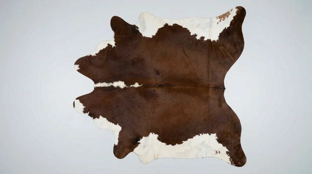 Brown and White cowhide rug flat lay on white background showing full hide shape