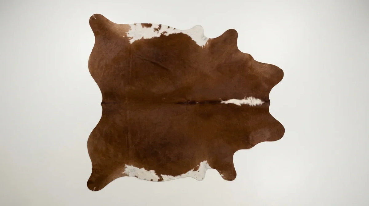 Brown and White cowhide rug flat lay on white background showing full hide shape
