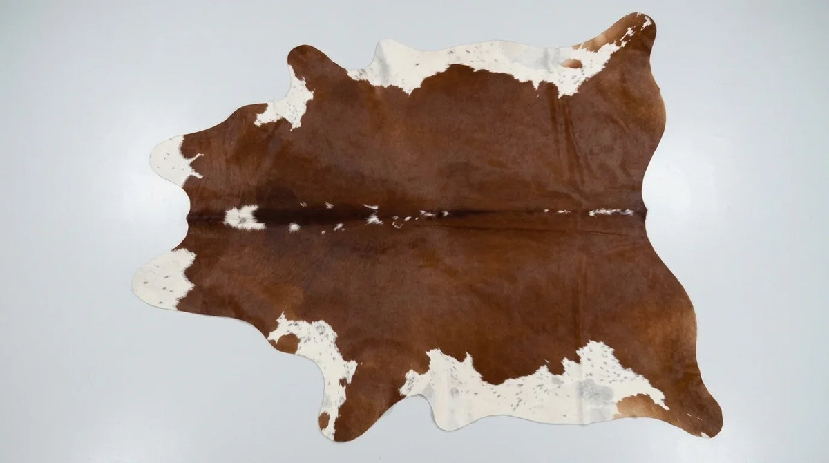 Brown and White cowhide rug flat lay on white background showing full hide shape