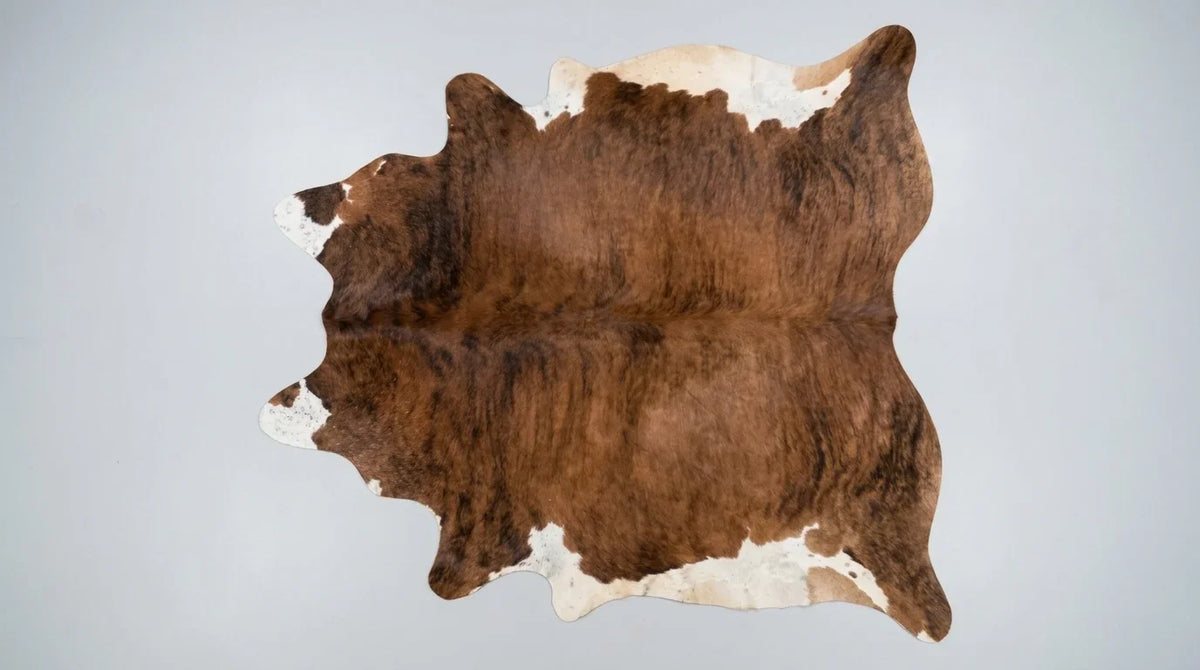 Brown and White cowhide rug flat lay on white background showing full hide shape