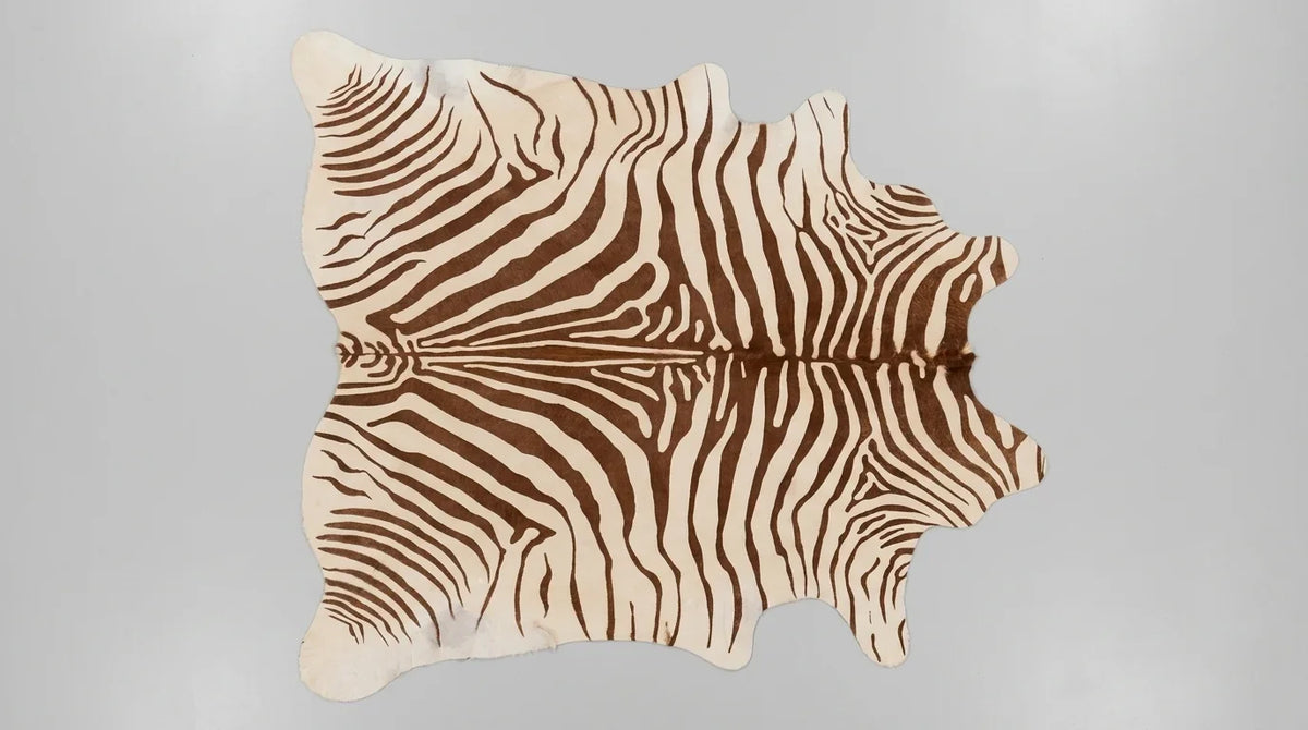 Brown and White cowhide rug flat lay on white background showing full hide shape