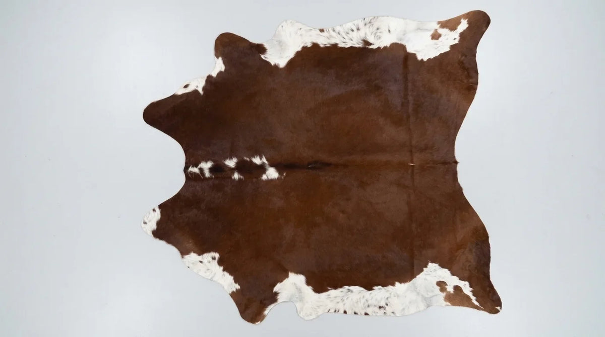 Brown and White cowhide rug flat lay on white background showing full hide shape