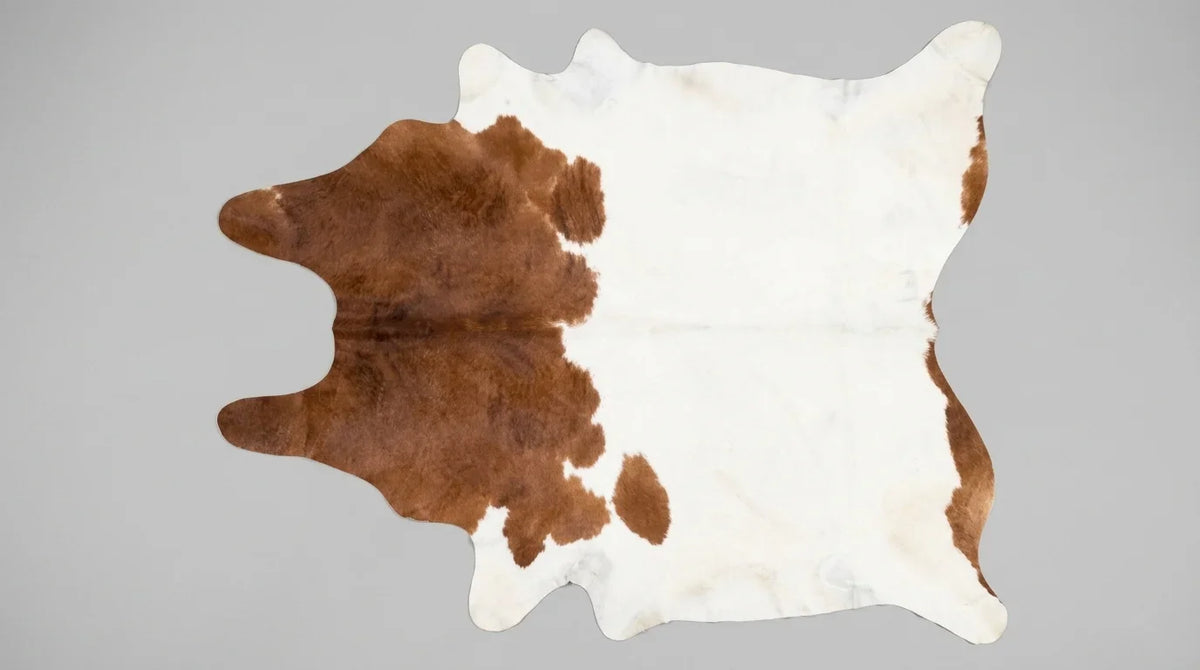 Brown and White cowhide rug flat lay on white background showing full hide shape