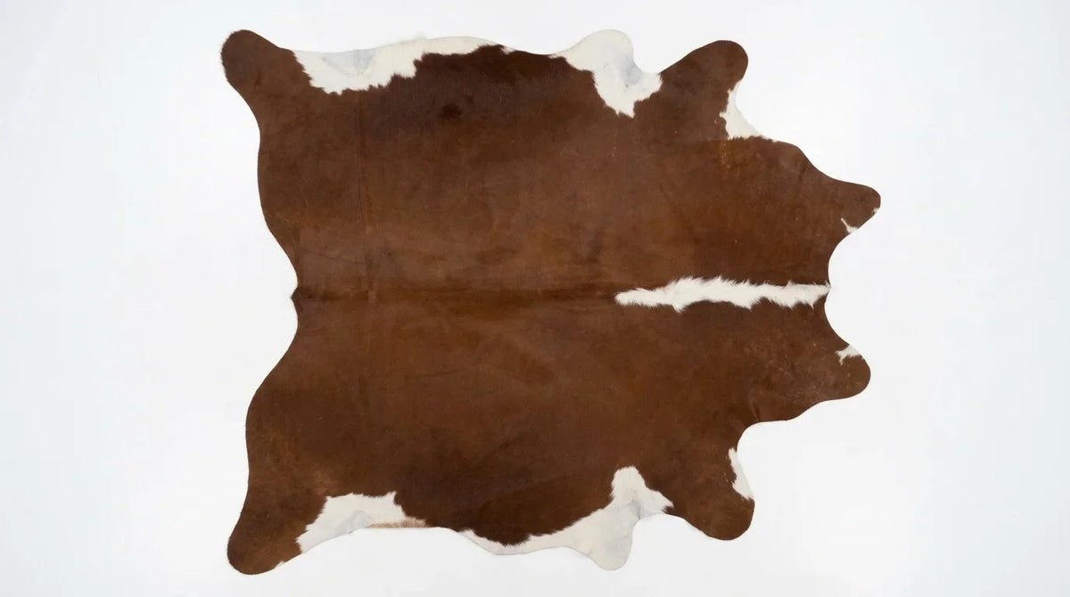 Brown and White cowhide rug flat lay on white background showing full hide shape