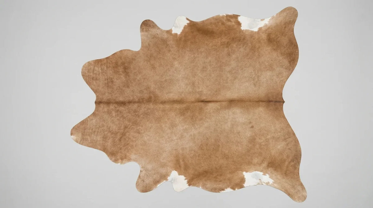 Brown and White cowhide rug flat lay on white background showing full hide shape