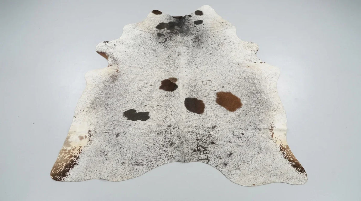 Brown and White cowhide rug flat lay on white background showing full hide shape