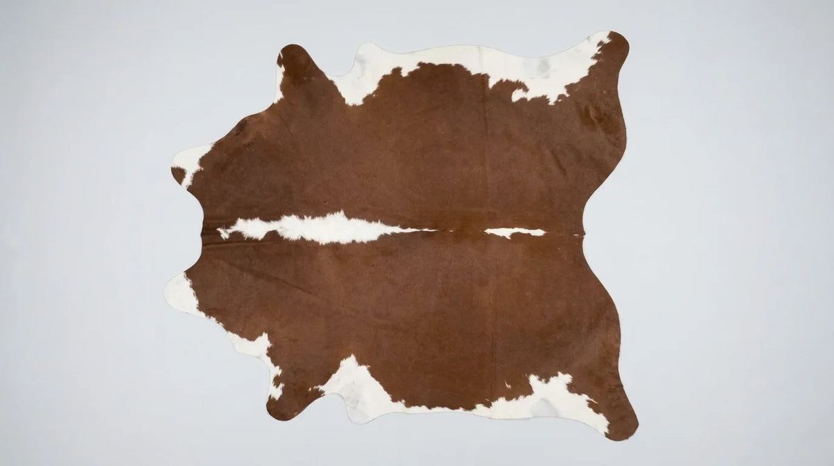 Brown and White cowhide rug flat lay on white background showing full hide shape