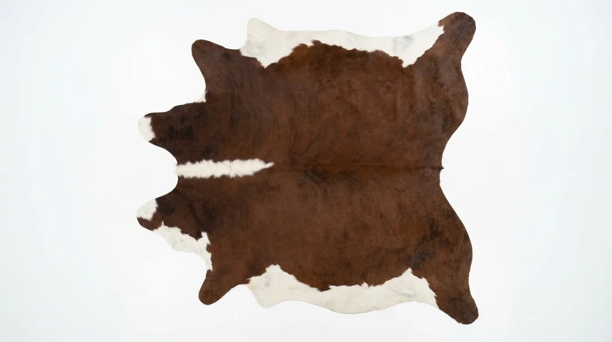 Brown and White cowhide rug flat lay on white background showing full hide shape