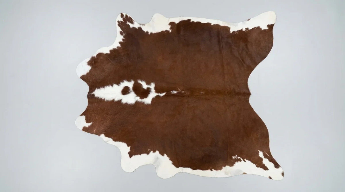 Brown and White cowhide rug flat lay on white background showing full hide shape