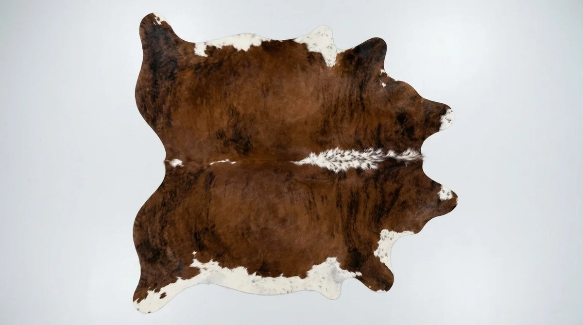 Brown and White cowhide rug flat lay on white background showing full hide shape