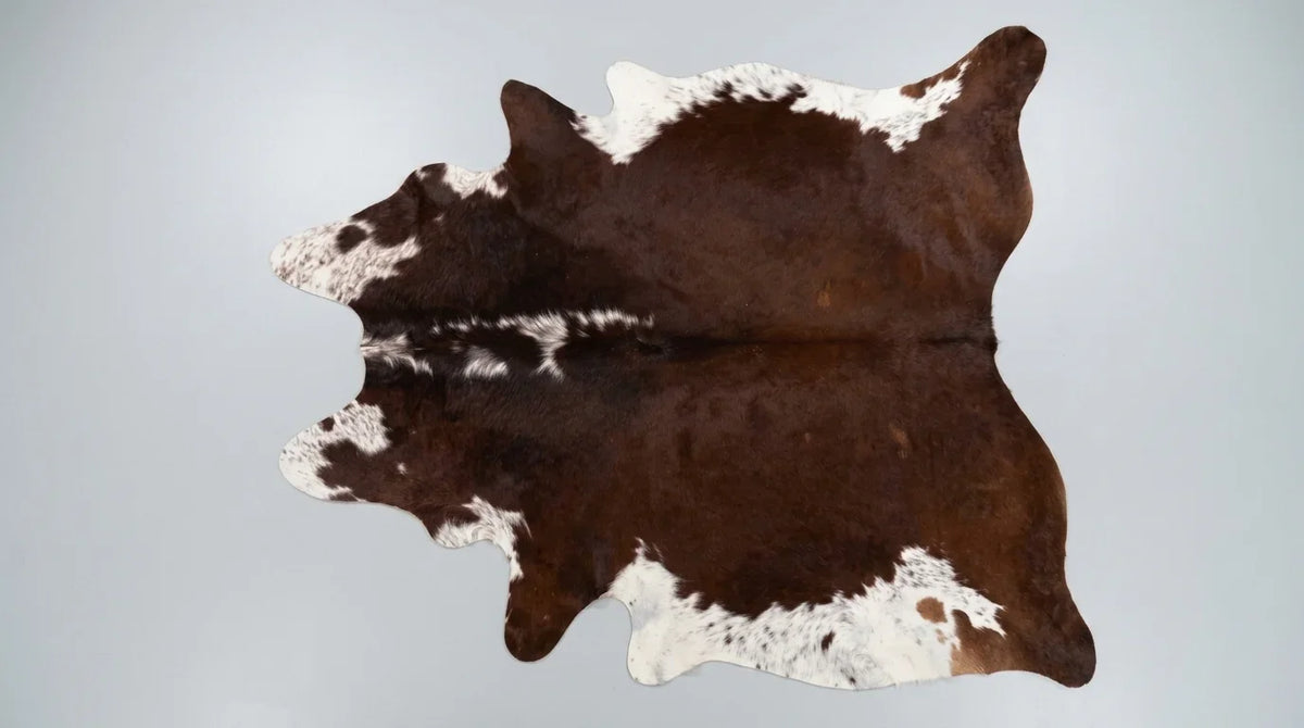 Brown and White cowhide rug flat lay on white background showing full hide shape