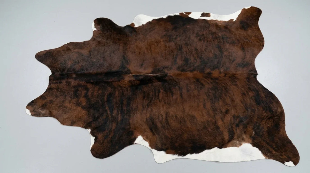 Brown and White cowhide rug flat lay on white background showing full hide shape