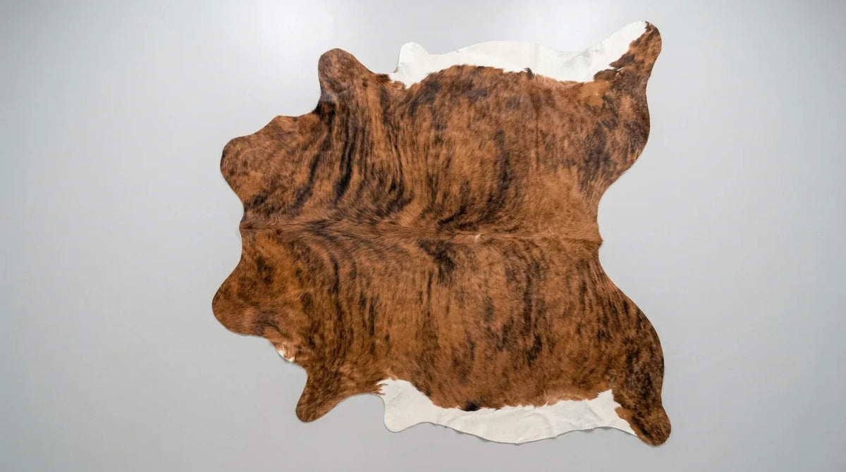 Brown and White cowhide rug flat lay on white background showing full hide shape